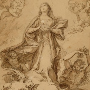 Immaculate Conception -  